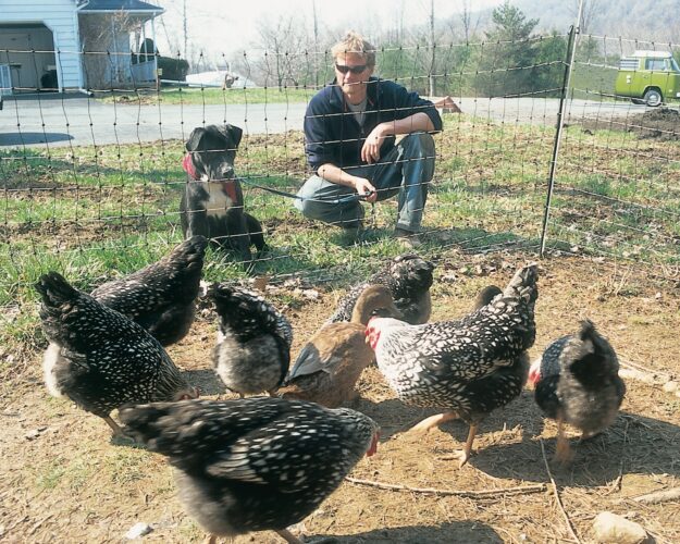 Protect Livestock With Electric Fencing